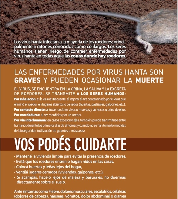Hantavirus: Qué es, cuáles son los síntomas, cómo se transmite, se trata y se previene